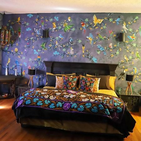 Boutique Hotel And Gallery In San Angel Inn 墨西哥城 外观 照片