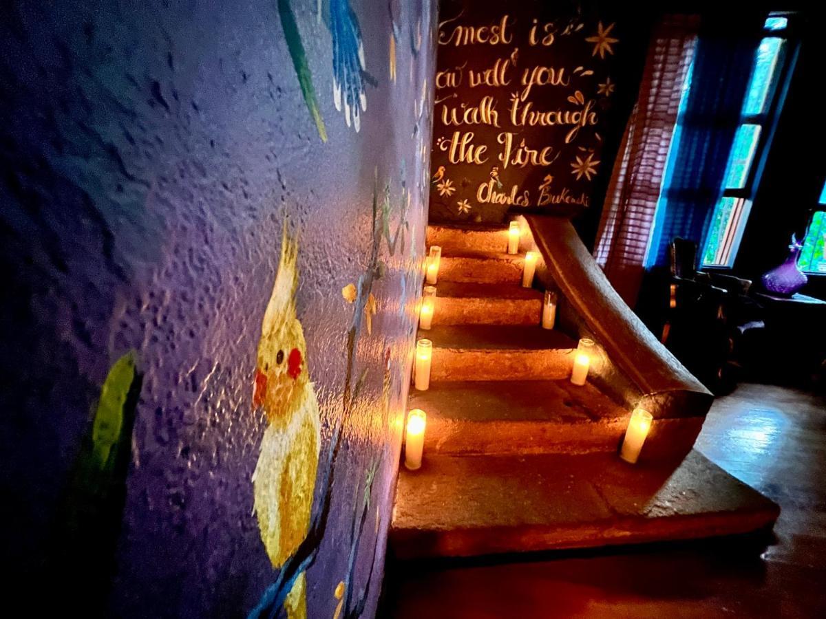 Boutique Hotel And Gallery In San Angel Inn 墨西哥城 外观 照片