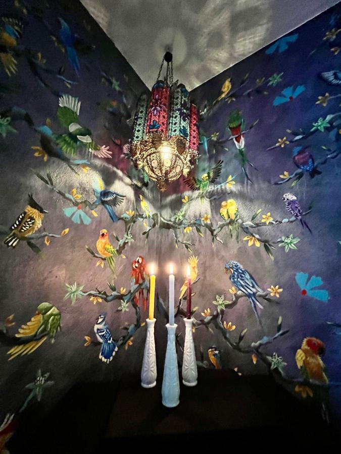Boutique Hotel And Gallery In San Angel Inn 墨西哥城 外观 照片