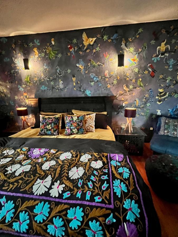Boutique Hotel And Gallery In San Angel Inn 墨西哥城 外观 照片