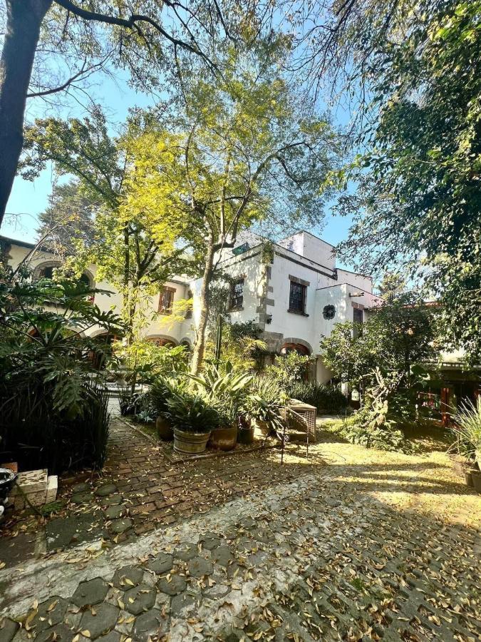 Boutique Hotel And Gallery In San Angel Inn 墨西哥城 外观 照片