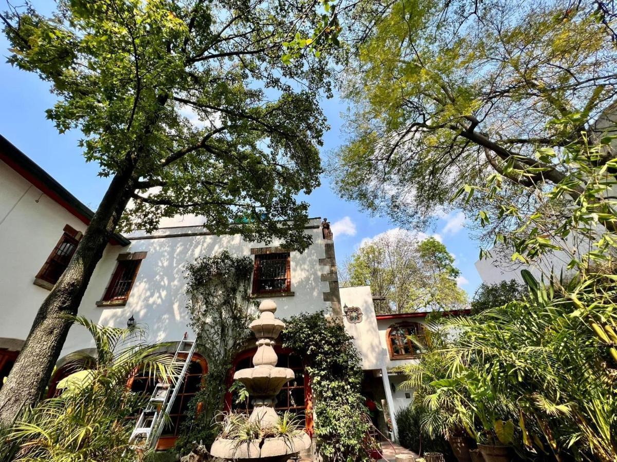 Boutique Hotel And Gallery In San Angel Inn 墨西哥城 外观 照片
