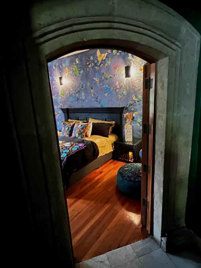 Boutique Hotel And Gallery In San Angel Inn 墨西哥城 外观 照片