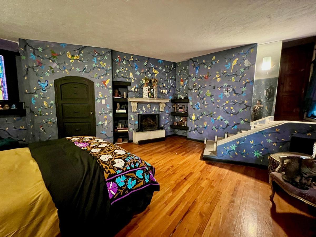 Boutique Hotel And Gallery In San Angel Inn 墨西哥城 外观 照片