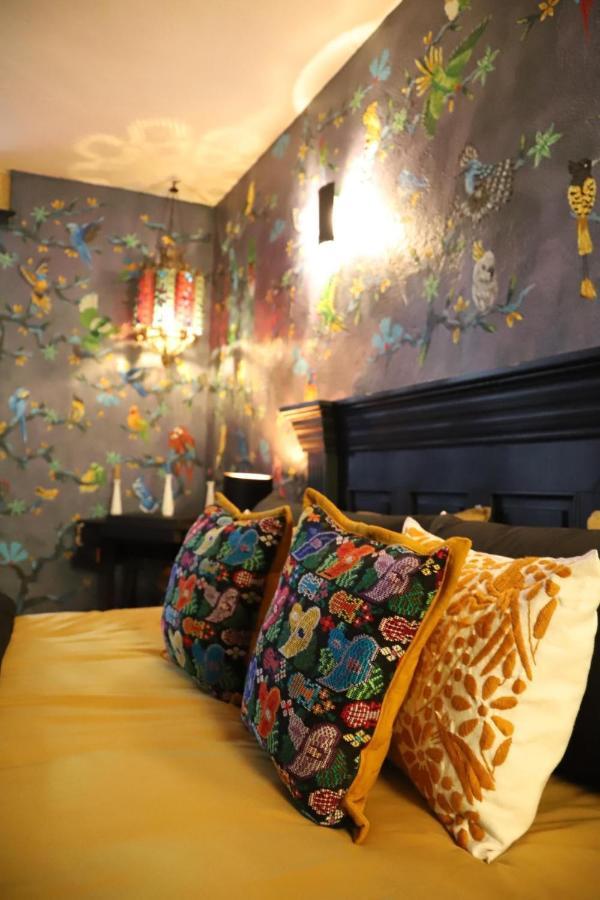 Boutique Hotel And Gallery In San Angel Inn 墨西哥城 外观 照片